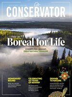 Conservator